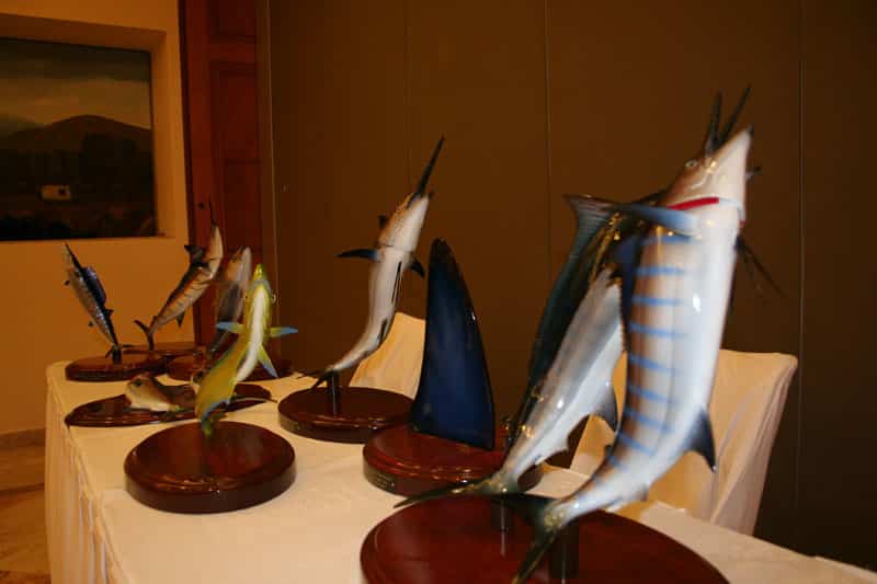 cabo captains meeting006.jpg