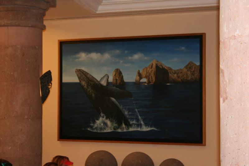 cabo captains meeting070.jpg