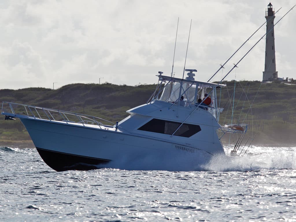 marlin sailfish fishing southern caribbean aruba bonaire curacao california lighthouse