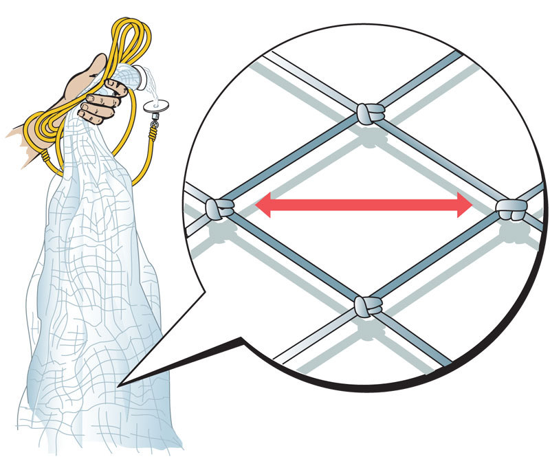 Diagram of a cast net.
