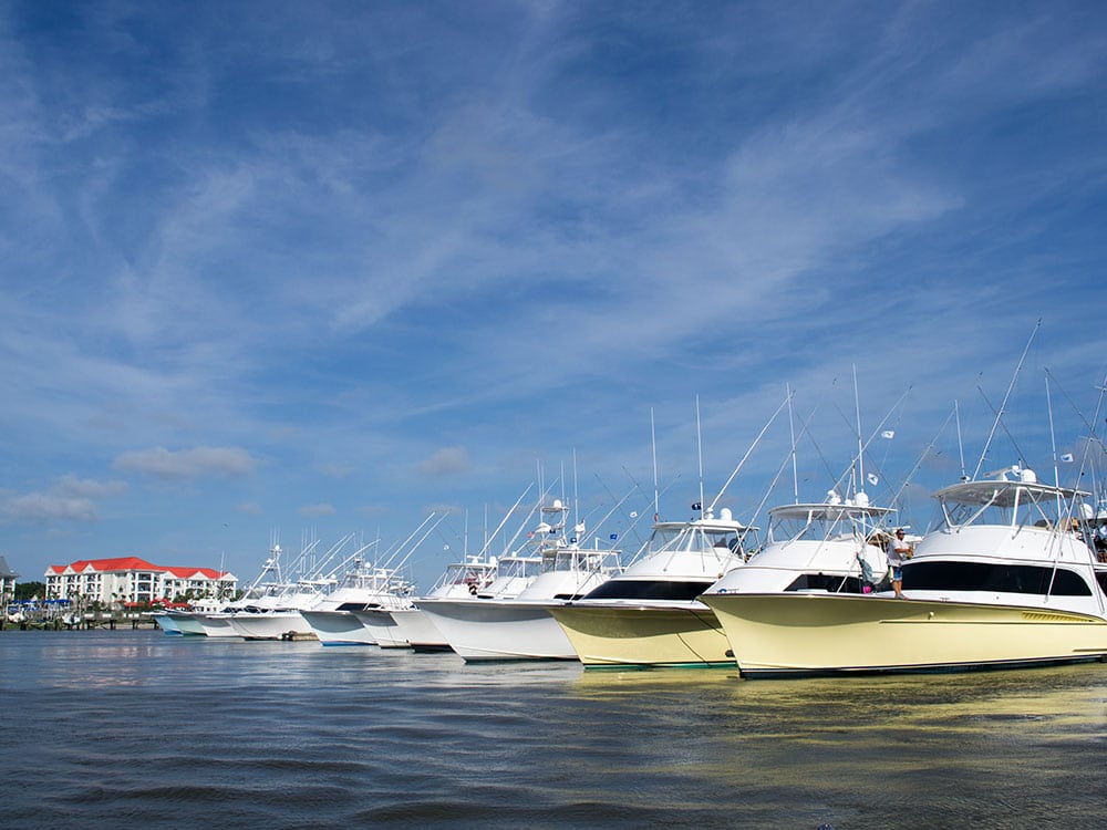 2017 carolina billfish cup
