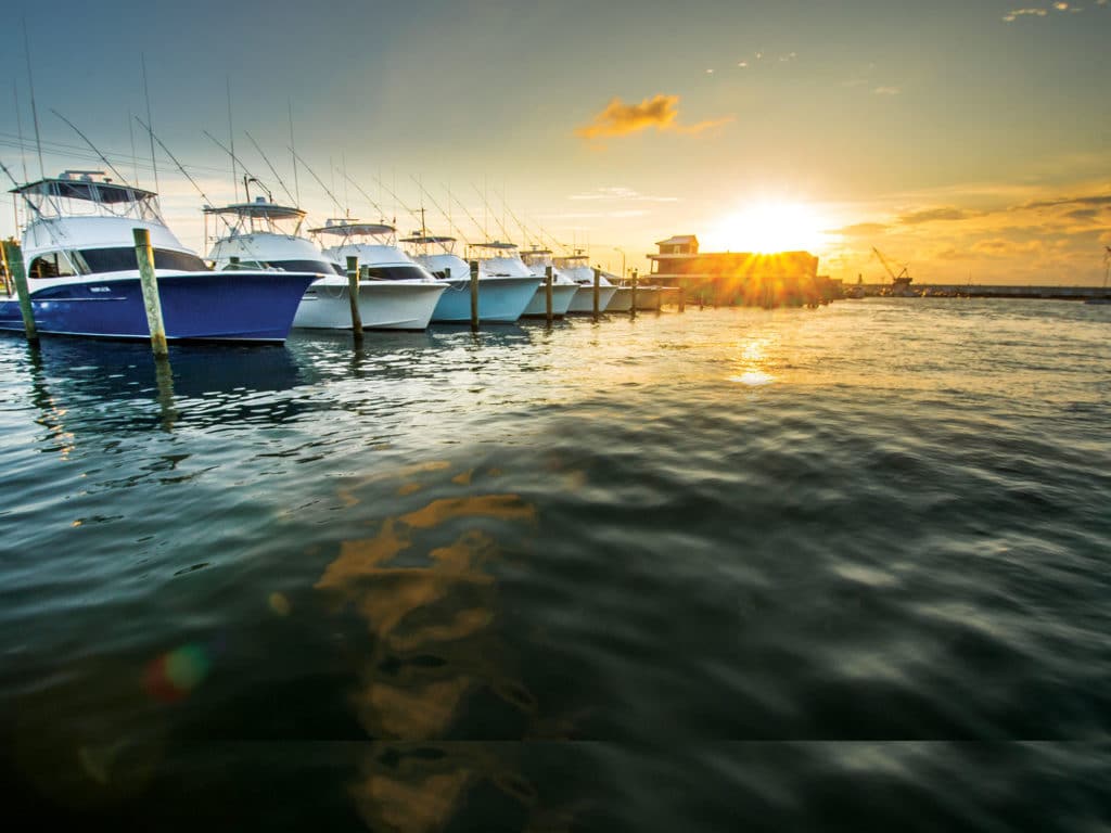 Charter Fishing Fleet Morehead City