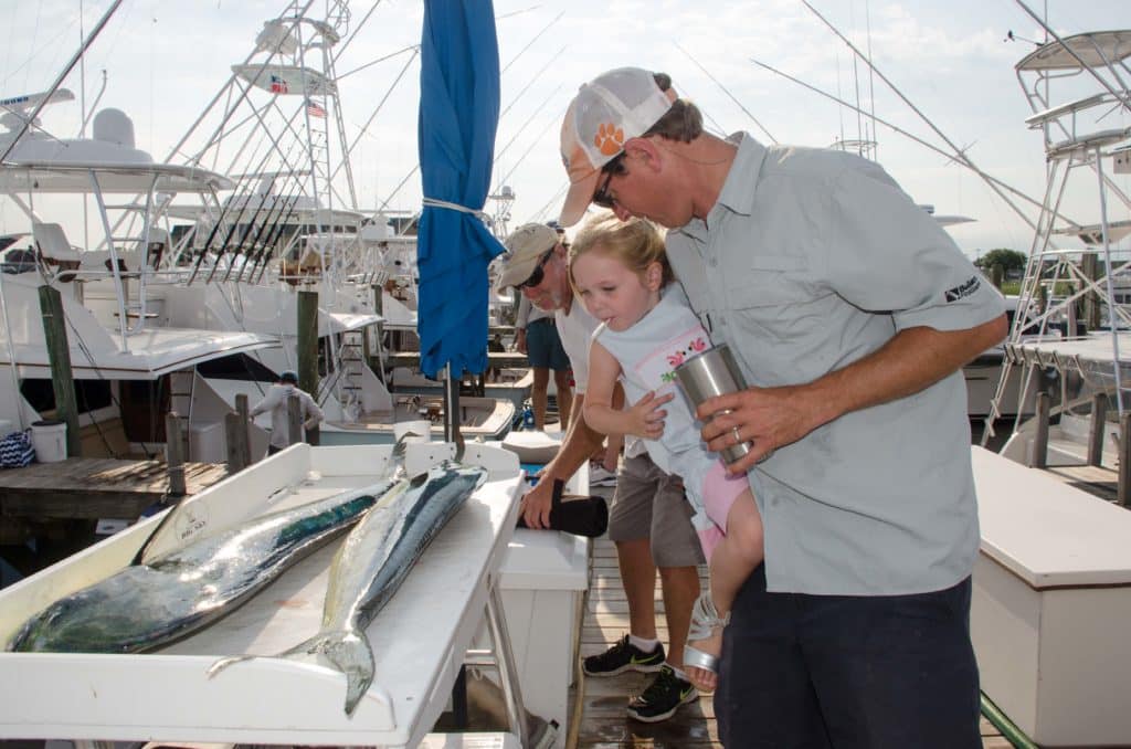2016 Georgetown Blue Marlin Tournament young spectator mahimahi