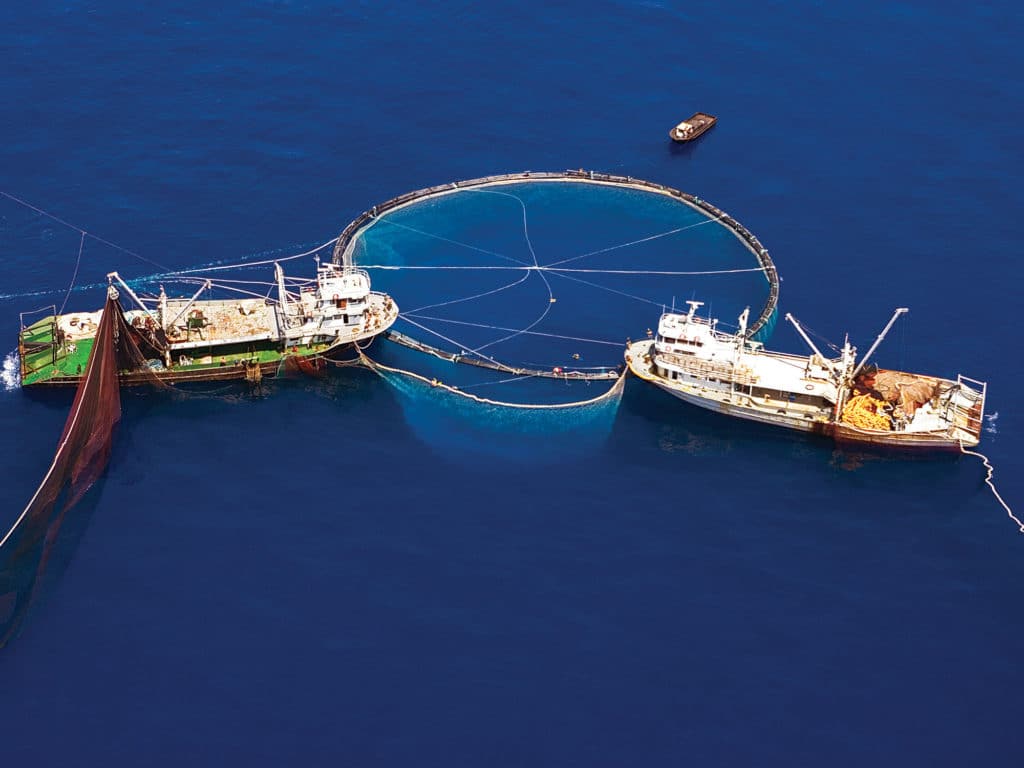 commercial fishing boats in water