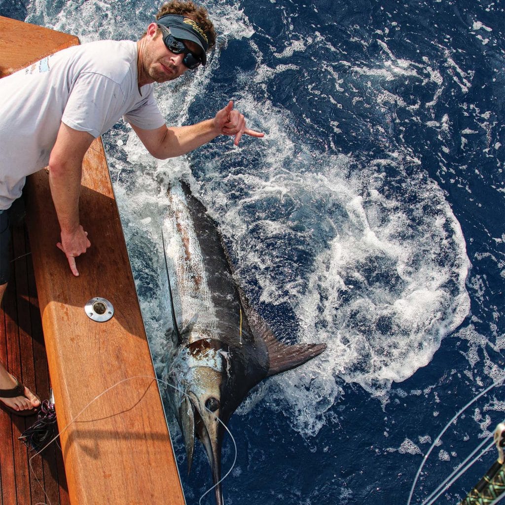 An angler leaning against a boat side with a marlin pulled boatside.