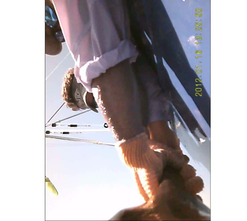 crittercam_black-marlin-release-view.jpg