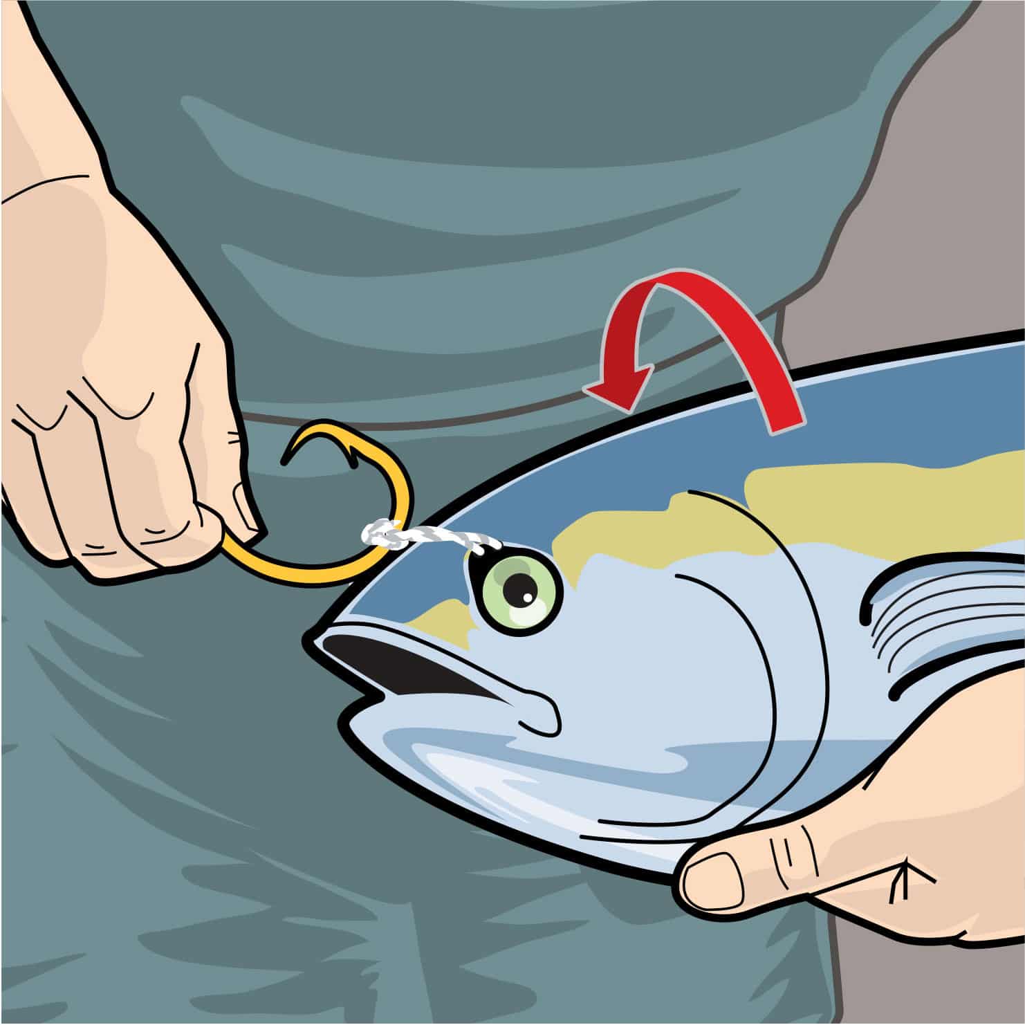 Live Bait Rig Tips for Marlin