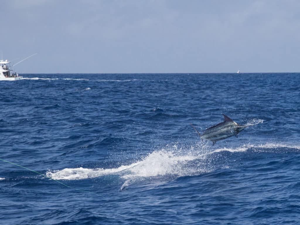 Custom Shootout 2017