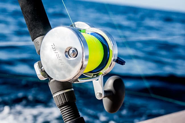 daiwa-reel.jpg