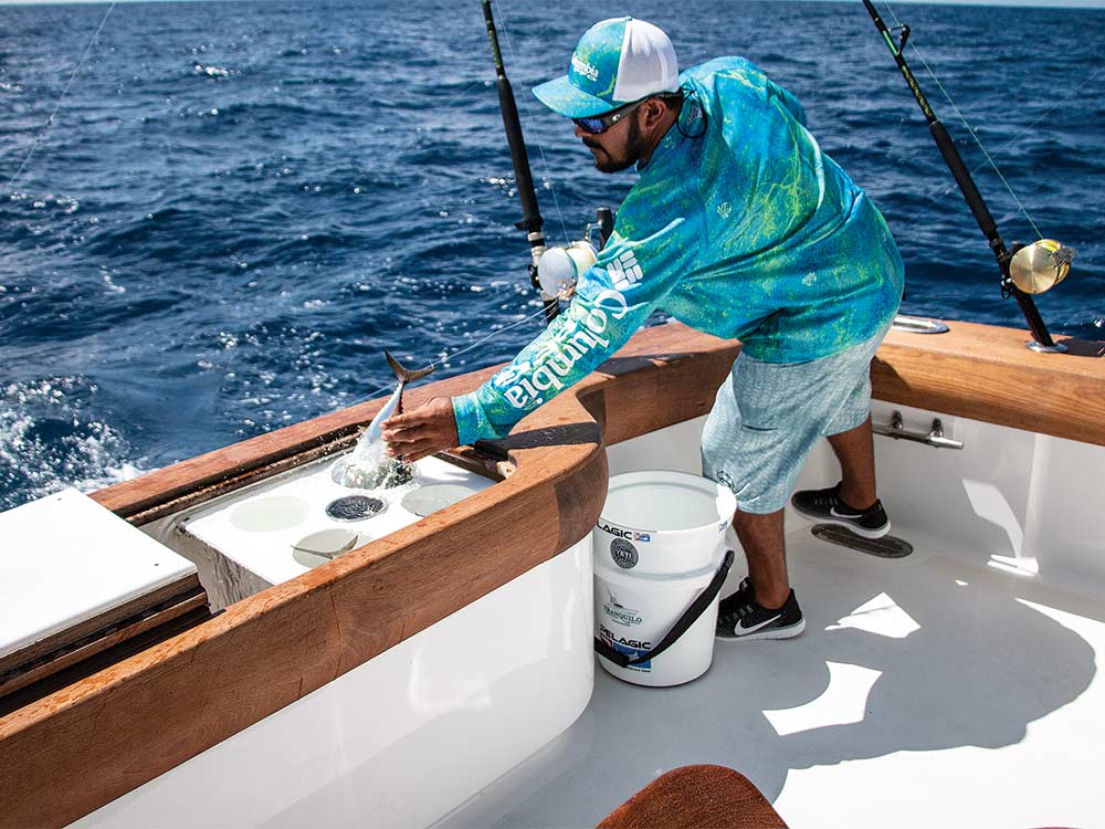 fisherman putting live bait in a tuna tube