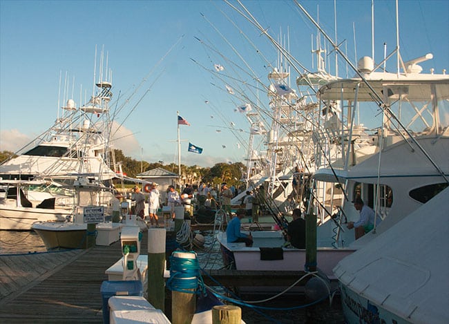 day-dock.jpg