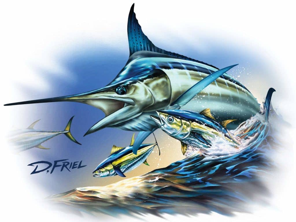 giant blue marlin illustration