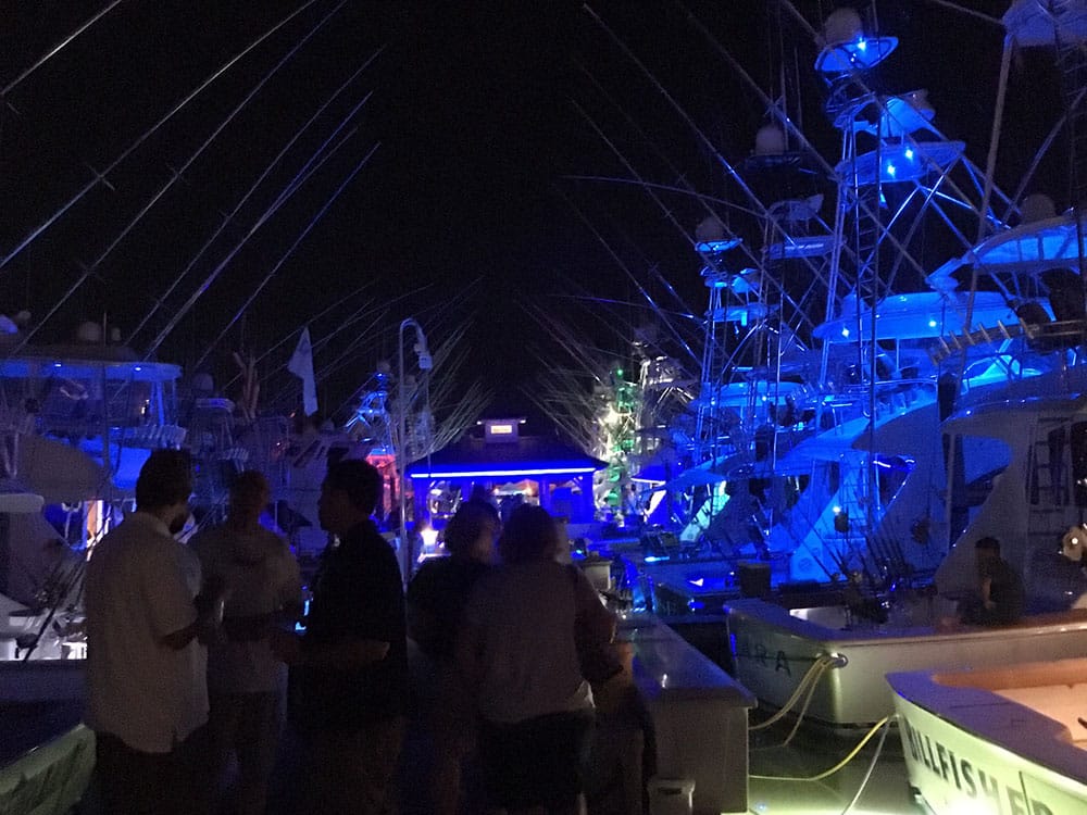 ocean city docks at night