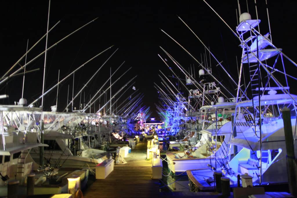 2016 White Marlin Open Ocean City Maryland docks at night