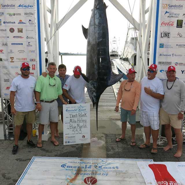 553-pound blue marlin at Emerald Coast Blue Marlin Tournament