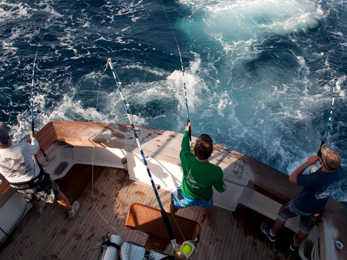 sport fishing boat