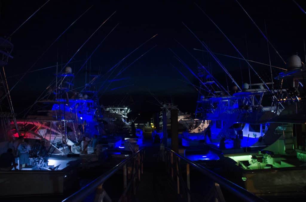 Evening shot boats lit up 2016 Bohicket Invitational Billfish Tournament SC Governor's Cup Billfishing Series