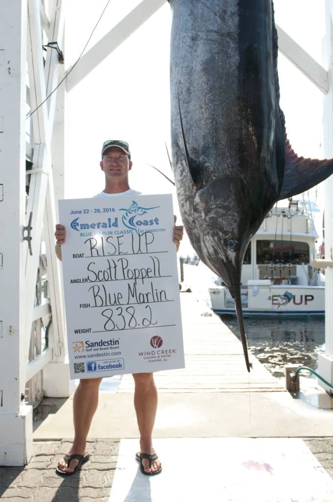 2016 Emerald Coast Blue Marlin Classic Scott Poppell winning blue marlin Rise Up
