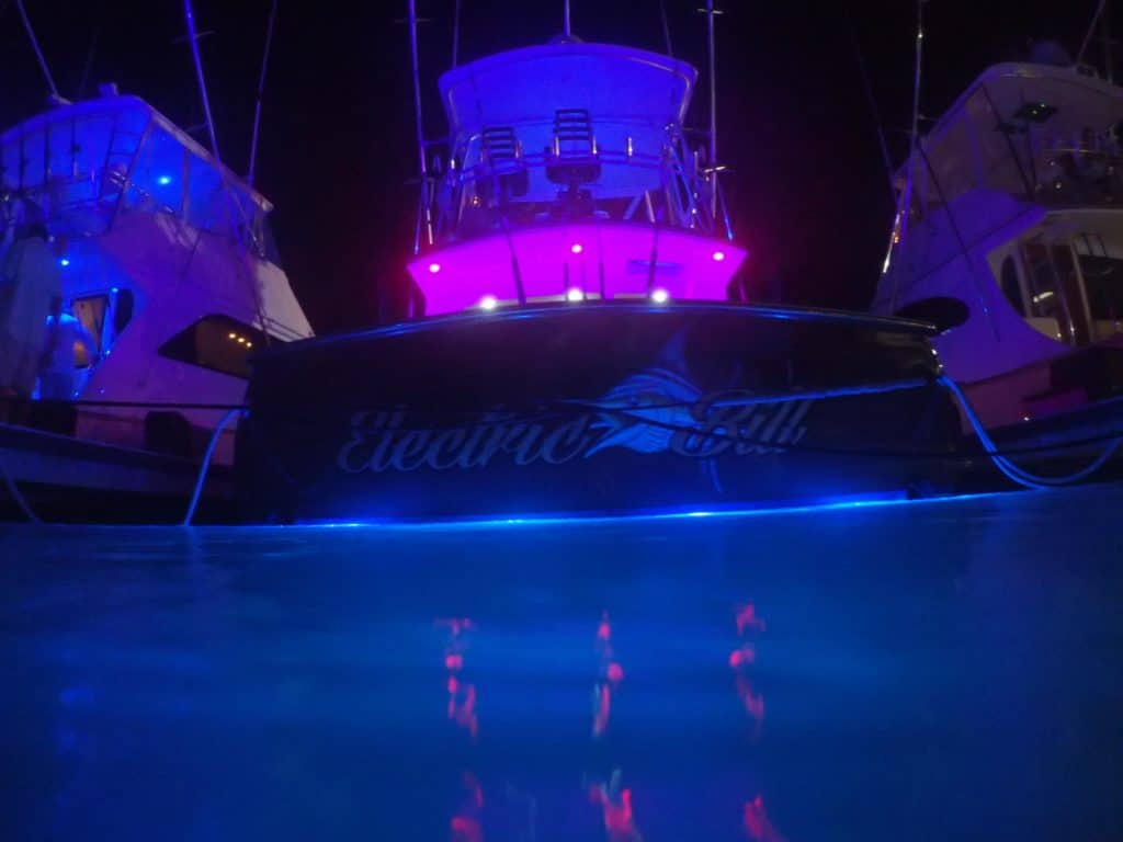 Electric Bill night 2016 Bohicket Invitational Billfish Tournament SC Governor's Cup Billfishing Series
