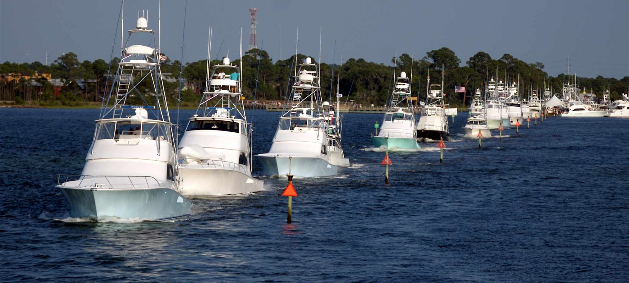 Billfish Tournament Guide Marlin