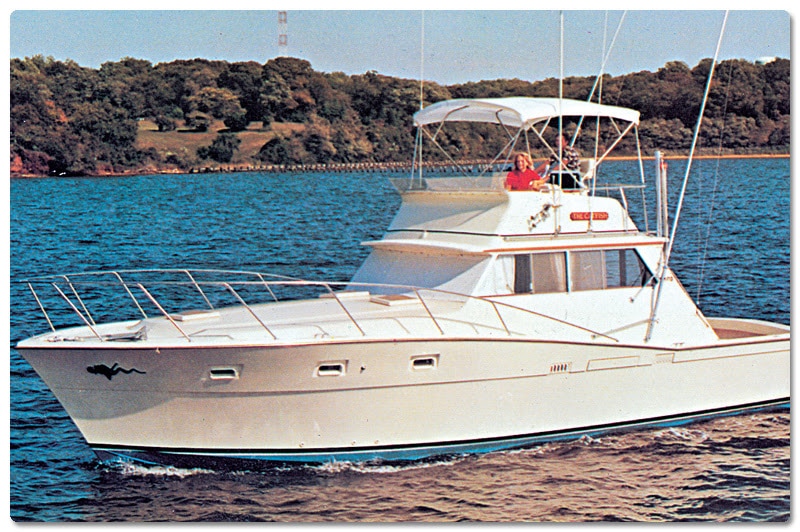 Viking sport-fishing boats