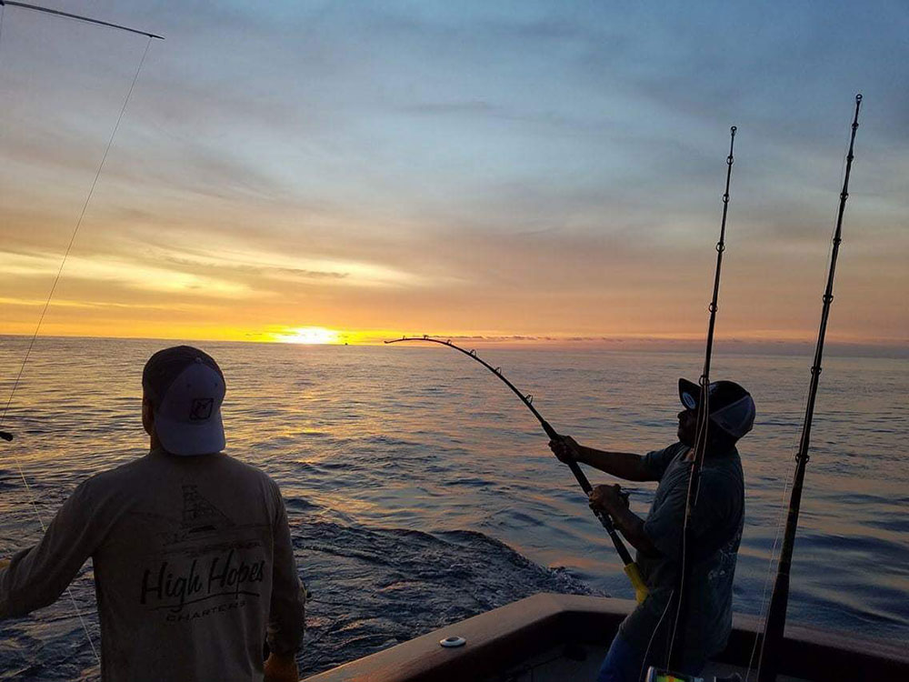 fighting costa rica blue marlin at sunset on tijereta