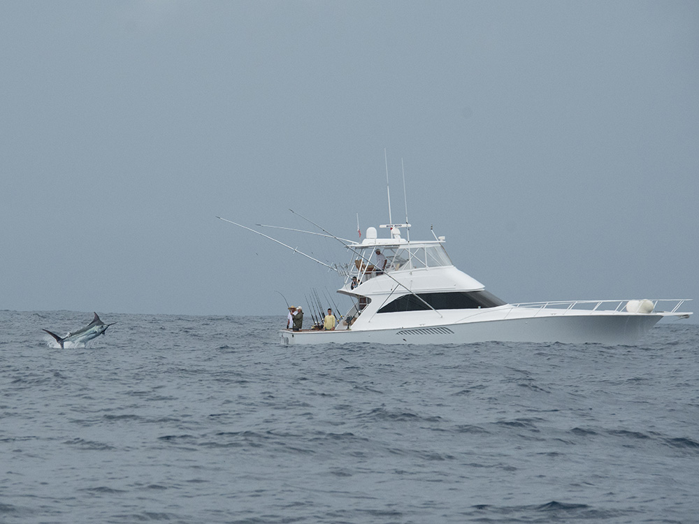 2017 flor de cana international billfish tournament nicaragua