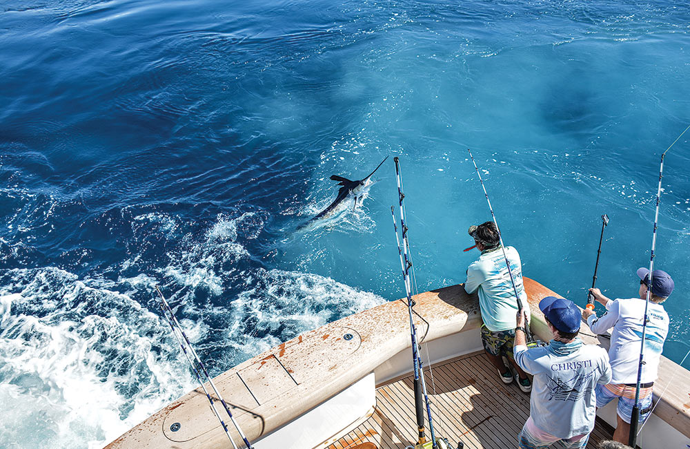 anglers fighting a white marlin on a viking yacht