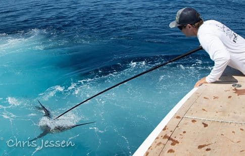2017 Quepos Billfish Cup