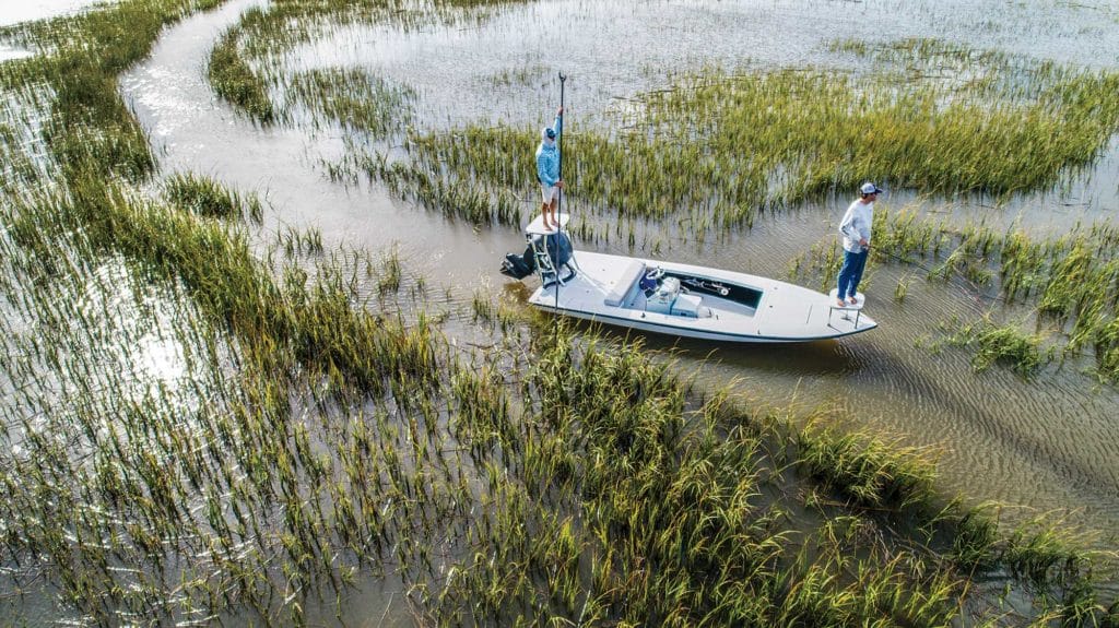 small boat in marshy waters