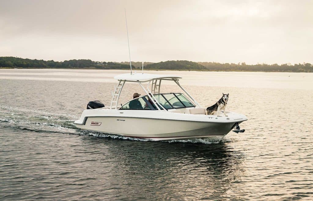 boat out on the water with a siberian husky dog on deck