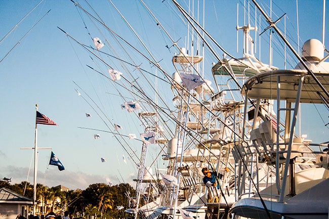 fishing-flags.jpg