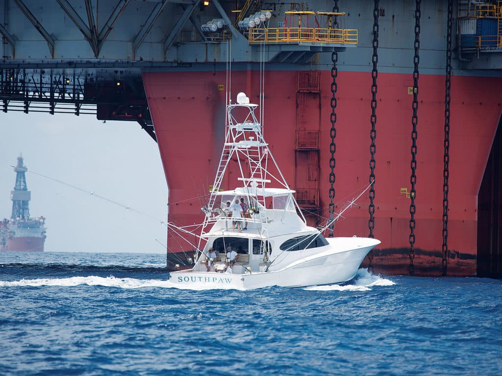 Blue Marlin Gulf of Mexico Fishing