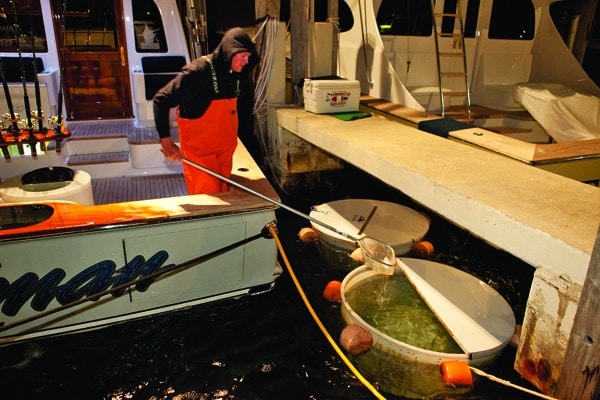 fishing tournaments