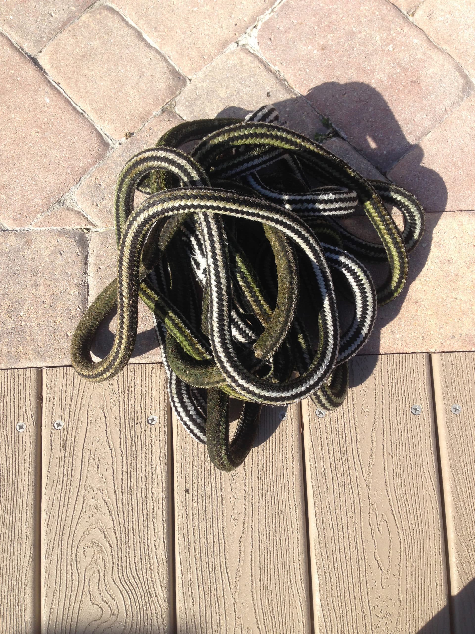 Clean Dock Lines On Boat Marlin