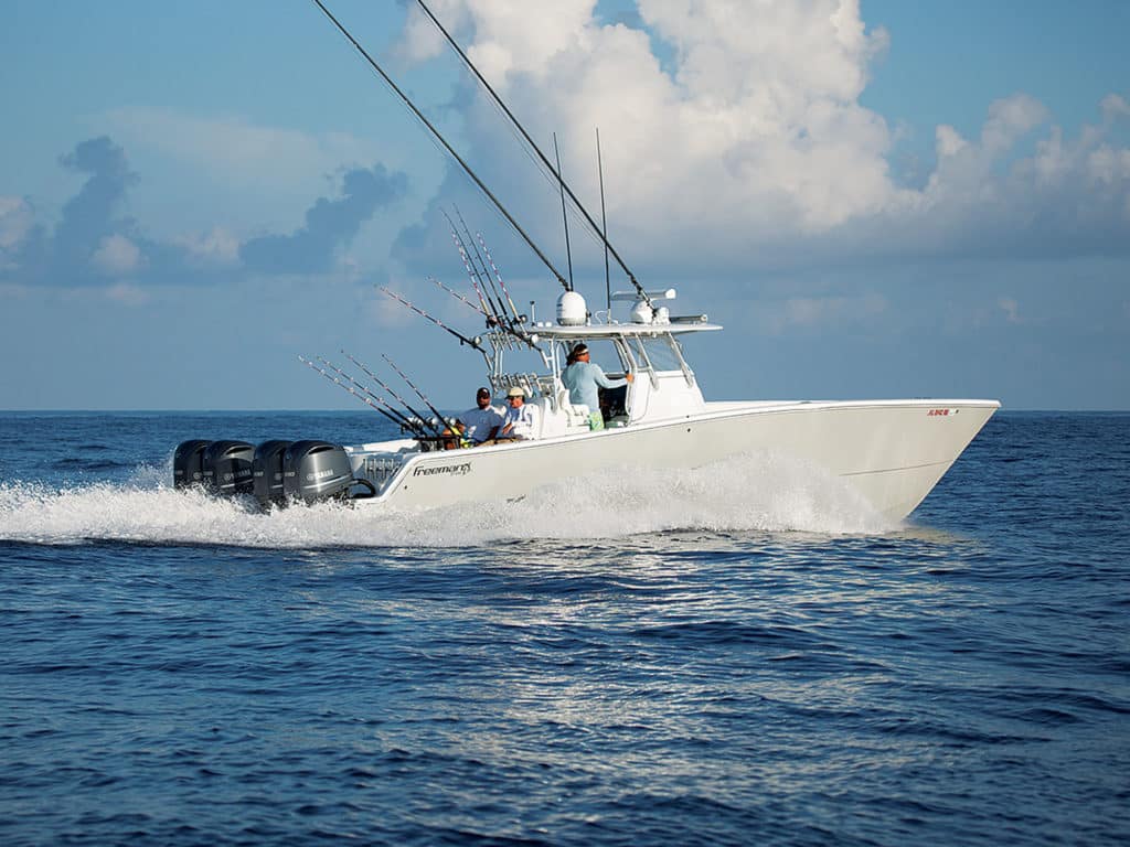 Blue Marlin Gulf of Mexico Fishing