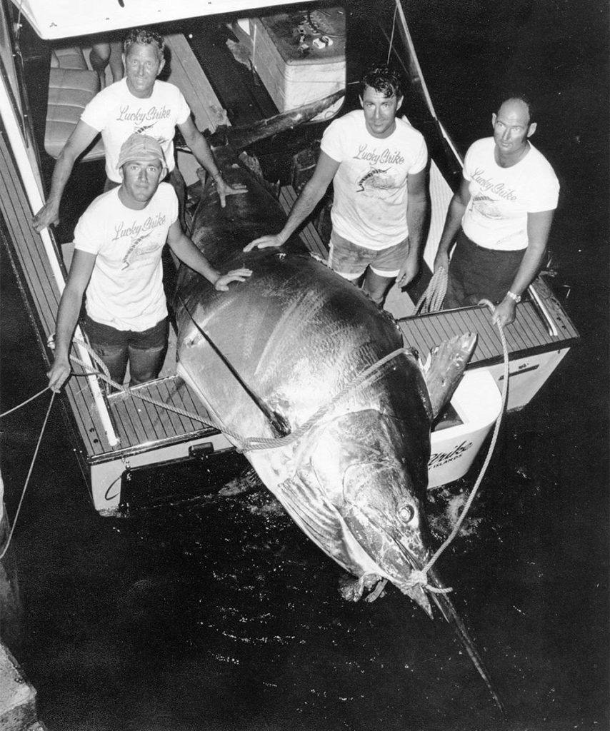 black and white image of largest black marlin