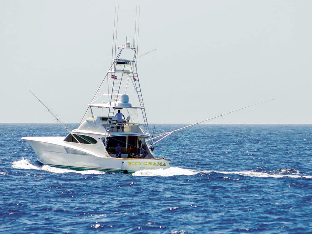 marlin sailfish fishing southern caribbean aruba bonaire curacao hey chama