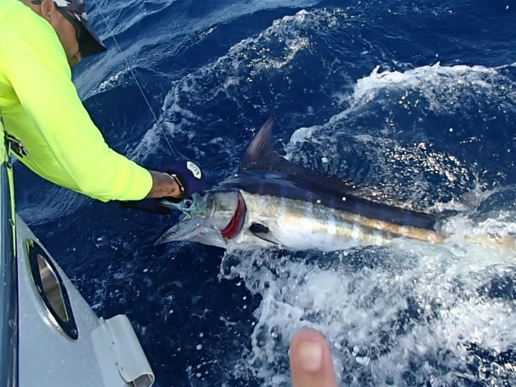 2017 Bonaire International and Local Tournament