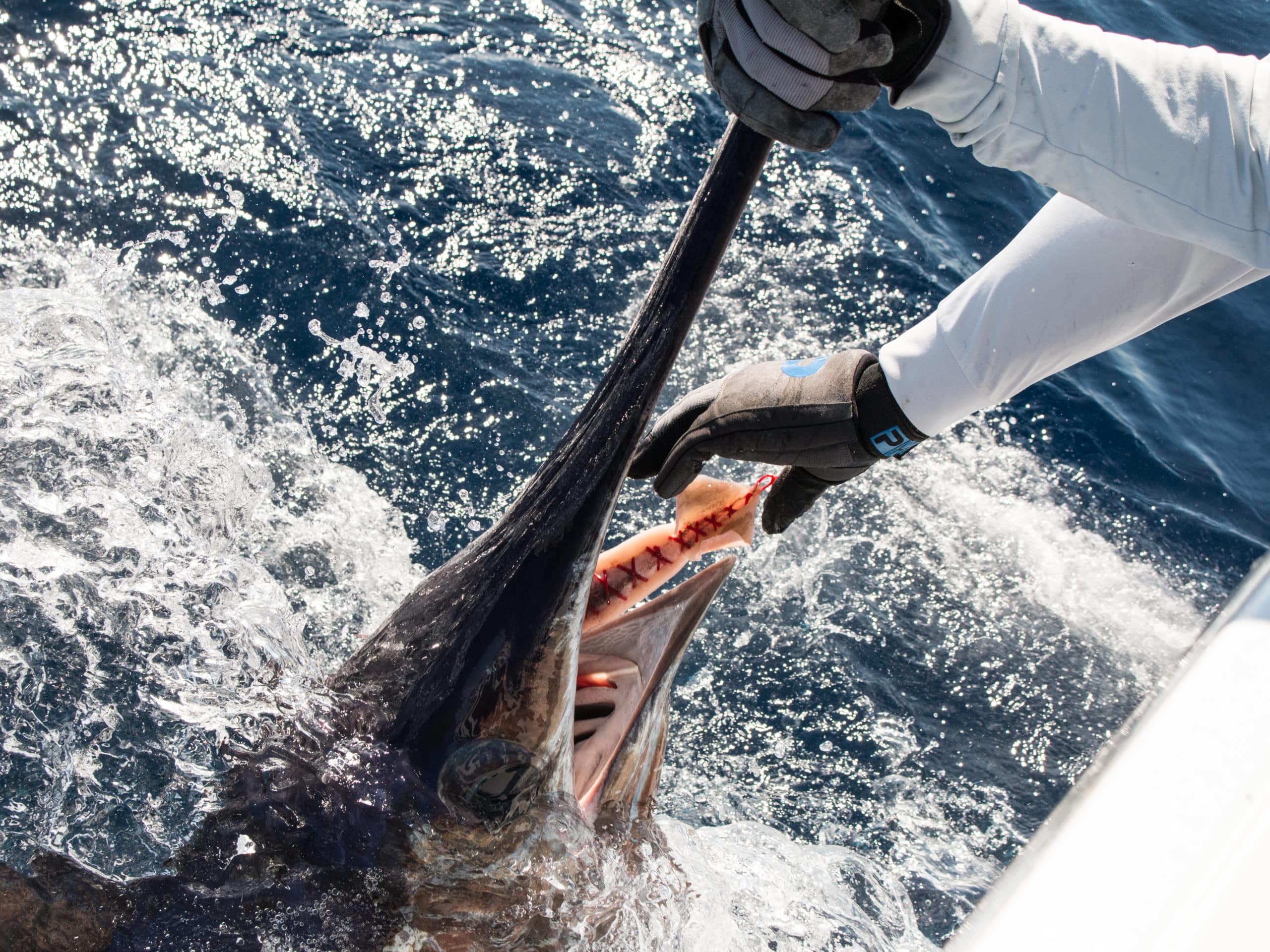 輸入雑貨 Fishing Lover Gift Offshore Game Sport Marlin Swordfish Tank Top 34cm 260g Swordfish Lures Trolling Saltwater Big Game