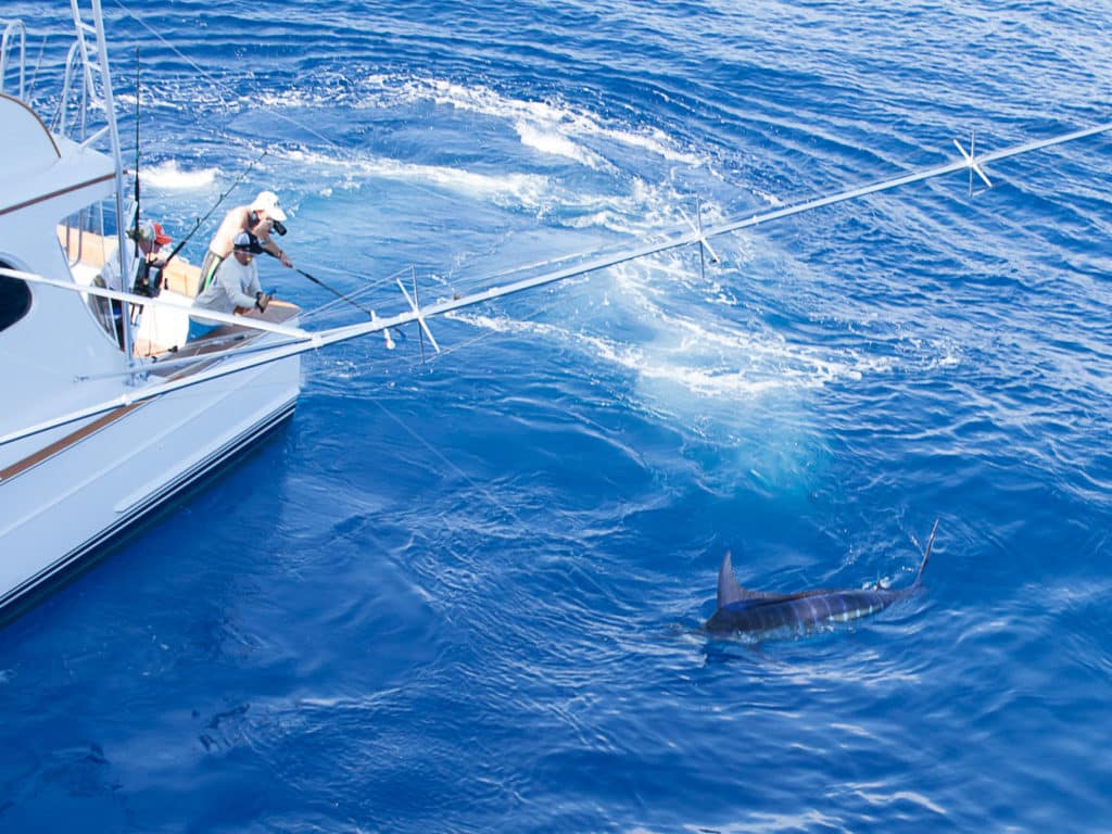 2016 Custom Shootout, Abaco, Abaco Islands, Bahamas, The Abacos