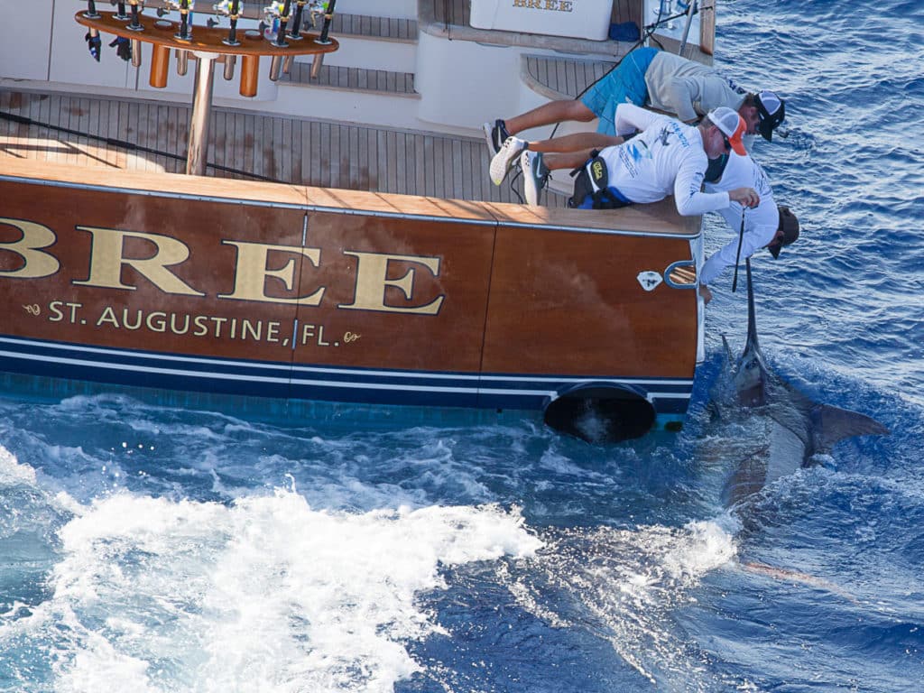 2016 Custom Shootout, Abaco, Abaco Islands, Bahamas, The Abacos