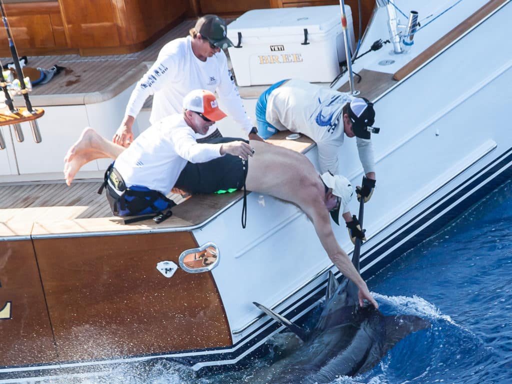 2016 Custom Shootout, Abaco, Abaco Islands, Bahamas, The Abacos