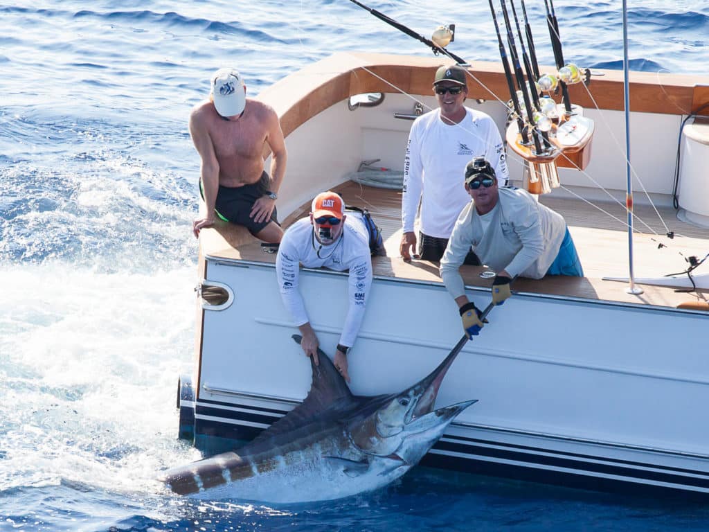 2016 Custom Shootout, Abaco, Abaco Islands, Bahamas, The Abacos