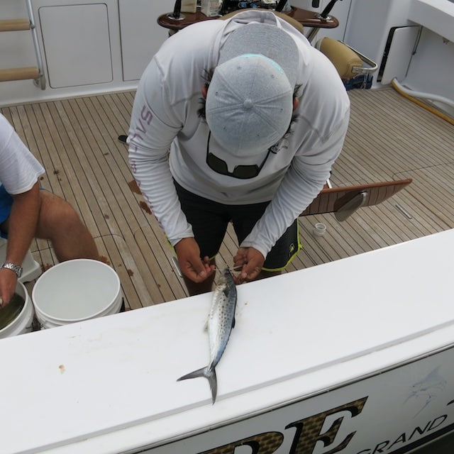 2017 Blue Marlin Grand Championship