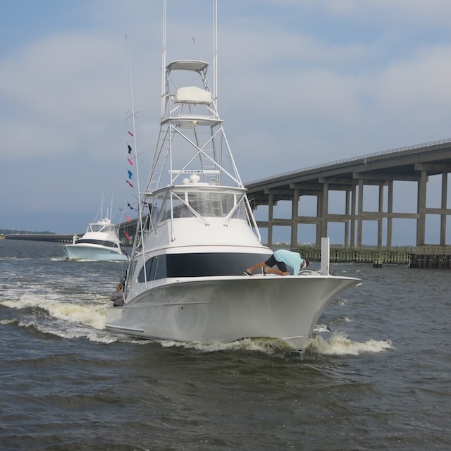Alice Kelly LadiesOnly Billfish Tournament Results and Pictures Marlin