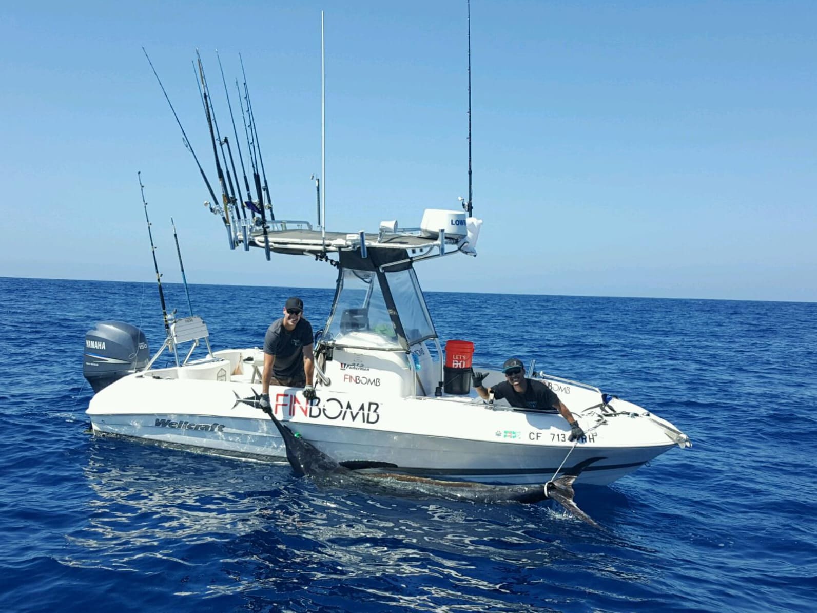 662.2-Pound Blue Marlin Caught Off San Diego | Marlin