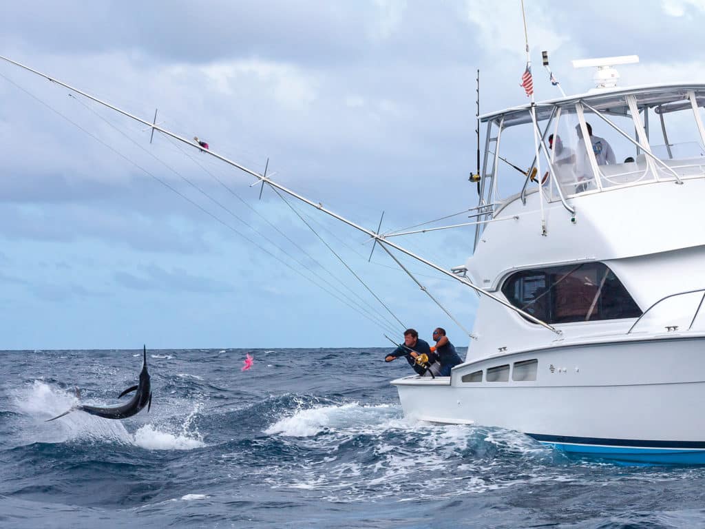 blue marlin jumping beside the boat