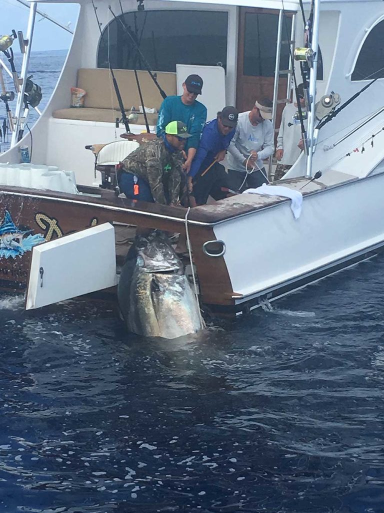 Kaleb Richardson giant bluefin tuna gulf of mexico on whoo dat