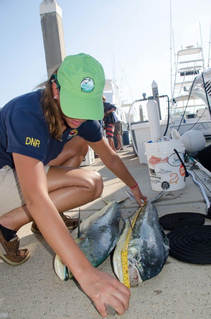 2016 SC Governor's Cup Billfishing Series Kayla Spry SC Dept. of Natural Resources